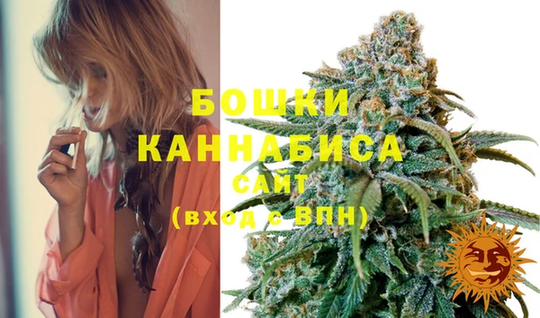 метадон Белокуриха