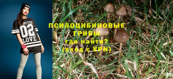 PSILOCYBIN Беломорск