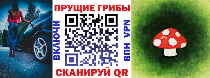 kraken ссылки  Буинск  Галлюциногенные грибы Psilocybe 